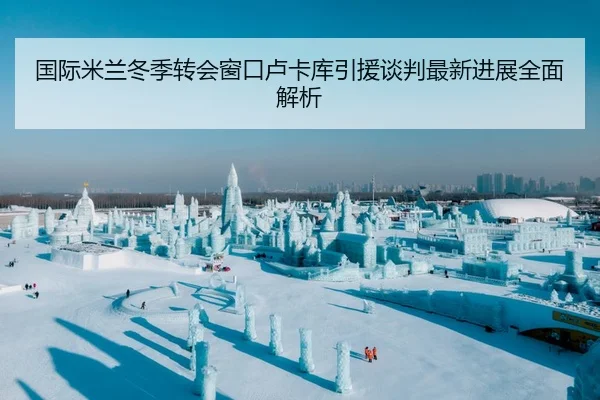 国际米兰冬季转会窗口卢卡库引援谈判最新进展全面解析